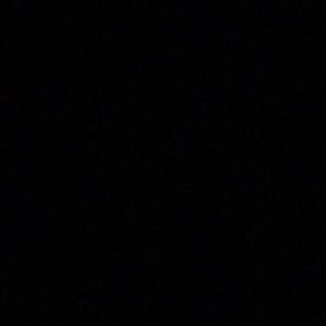 Meet your Posher, Judy